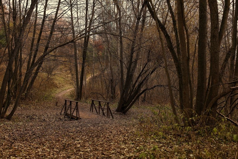 Осенняя прогулка