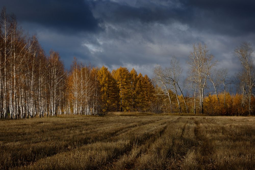 Photograph by Наталия Брянцева