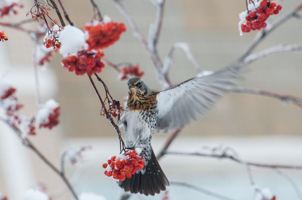 Photograph by Новиков Владимир
