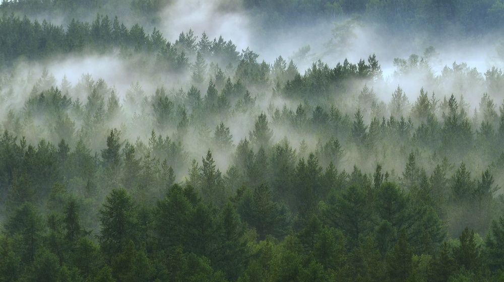 Photograph by Ильгиз Таипов