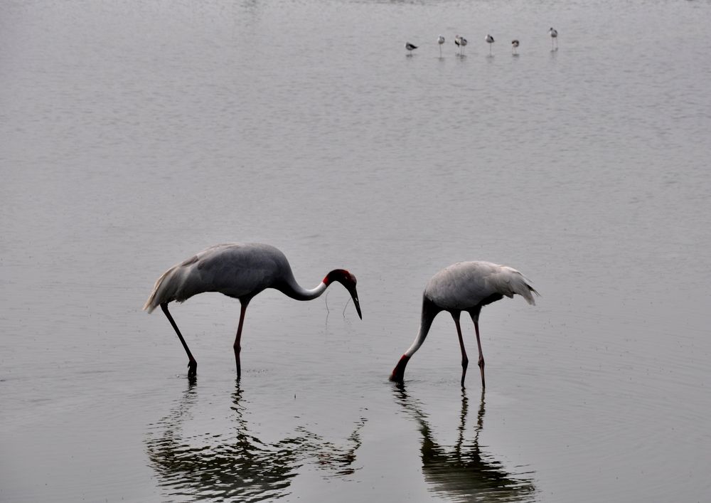 Photograph by SANDEEP KUMAR SHARMA