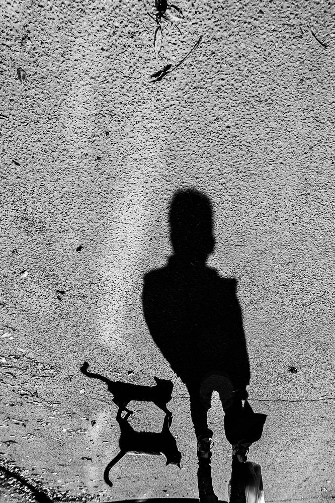 Photograph by Суханкина Елена