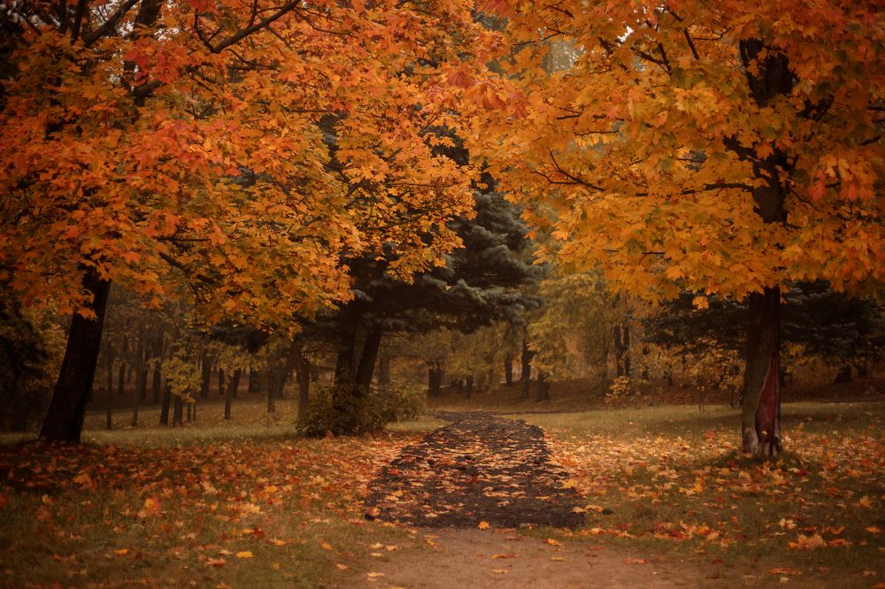 Photograph by Елена Копылова