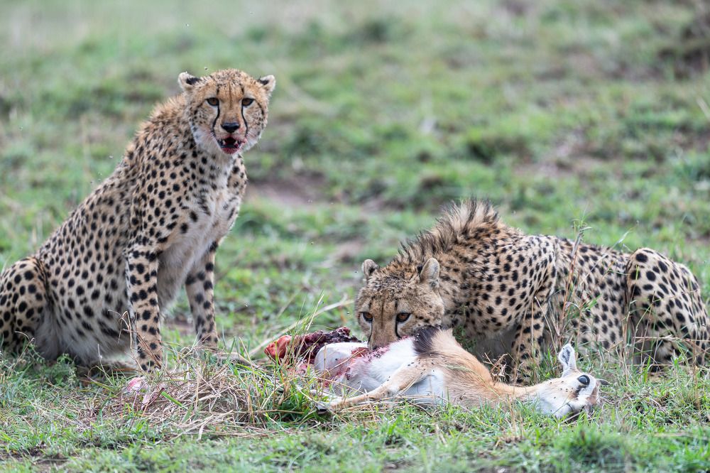 Photograph by Ranjith Kumar