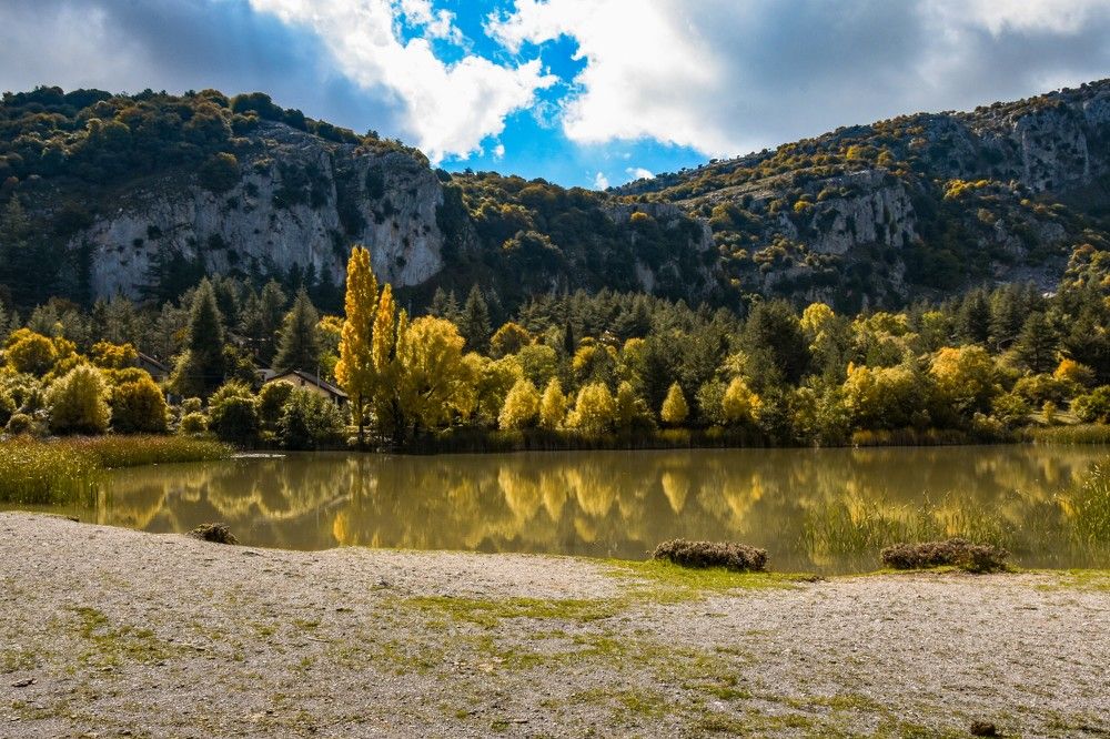 Photograph by Teresa Molinaro