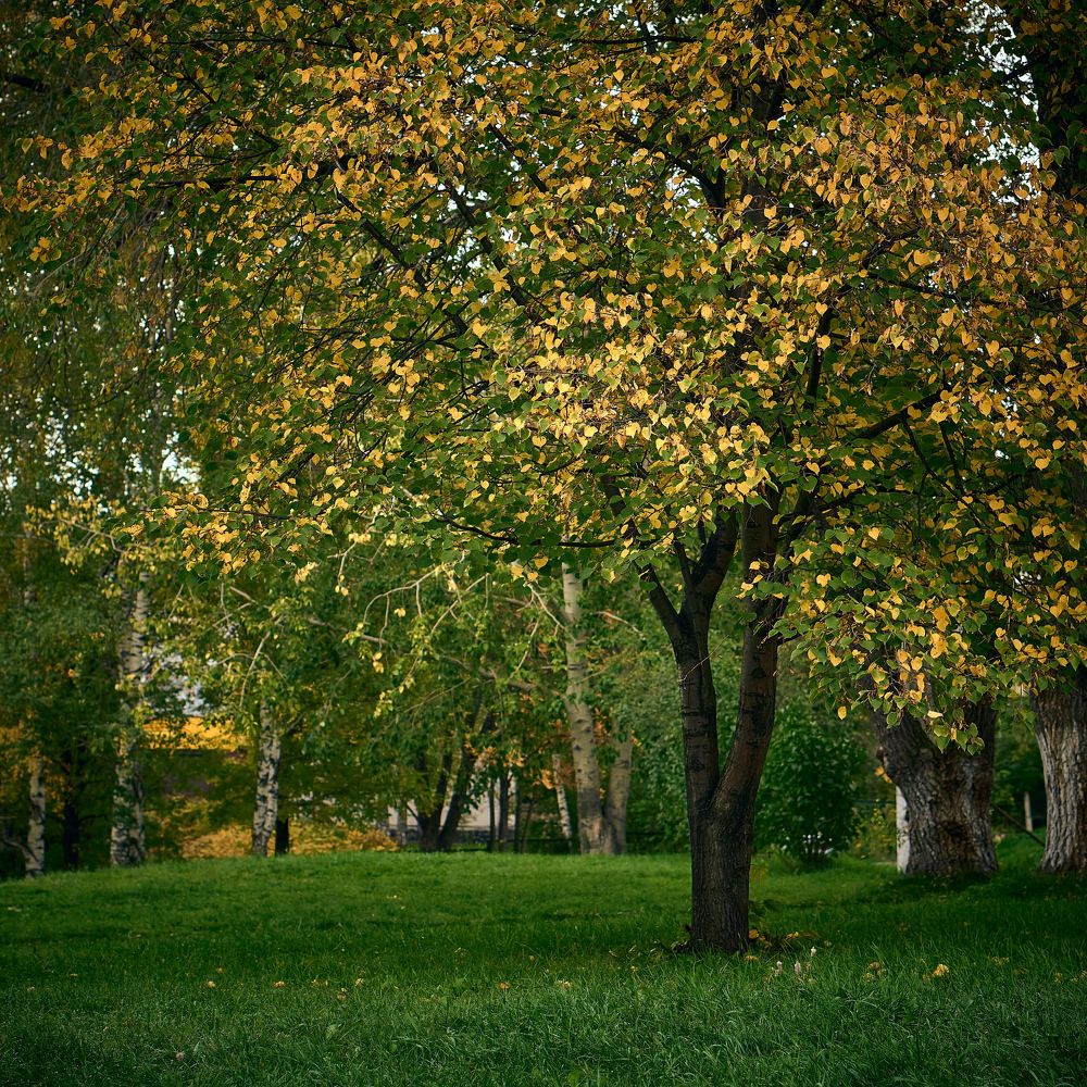 Photograph by Евгений Имамутдинов