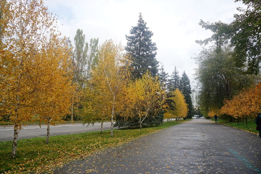 Photograph by Елена Гергель