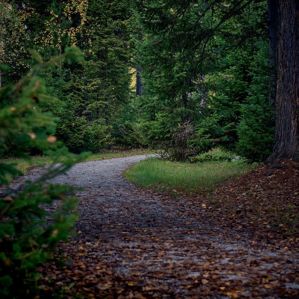 Photograph by Евгений Имамутдинов