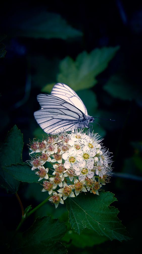 Photograph by Евгений Имамутдинов