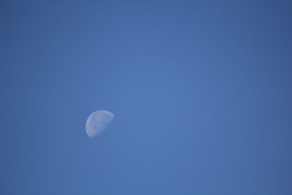 Фотография автора Анна Тищенко