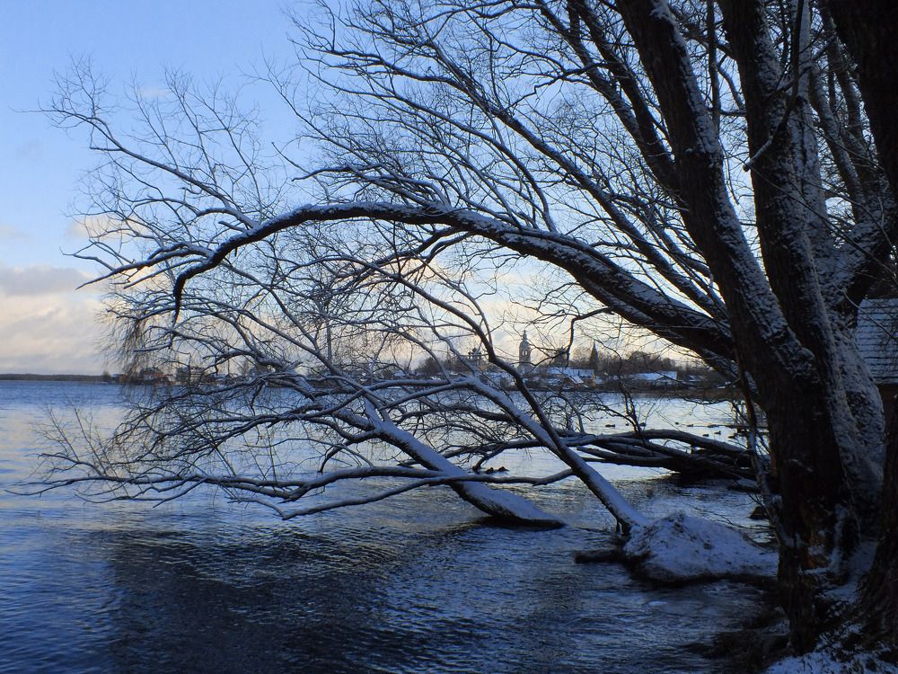 Photograph by Дмитрий Крылов