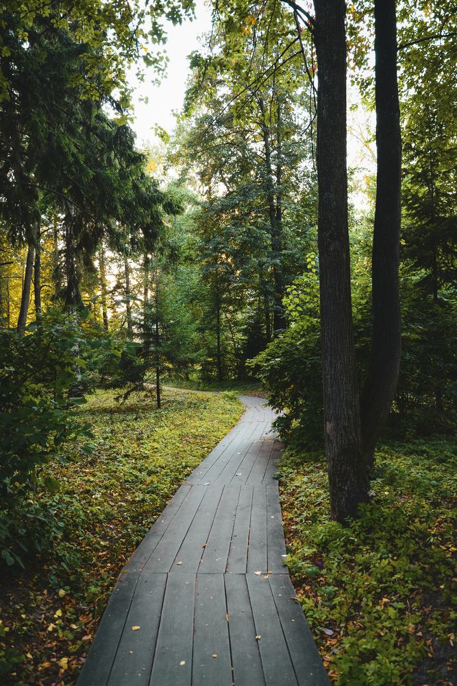 Photograph by Анастасия Хованская