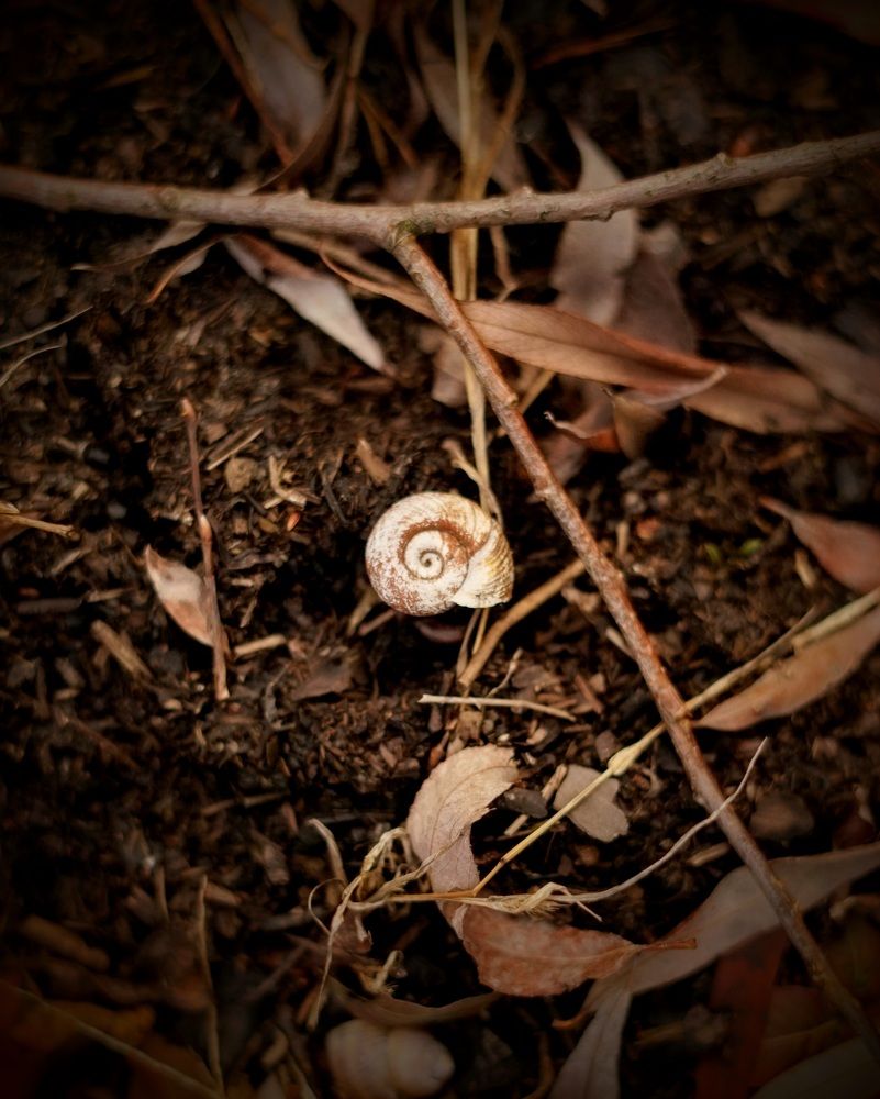 Фотография автора Наталья