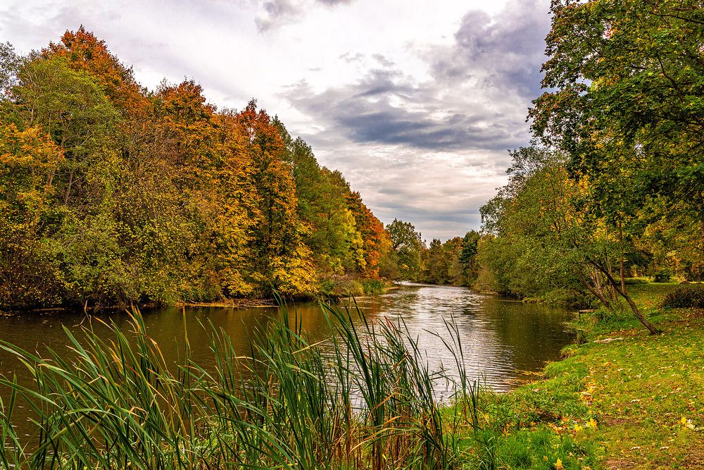 Photograph by Леонид Соболев