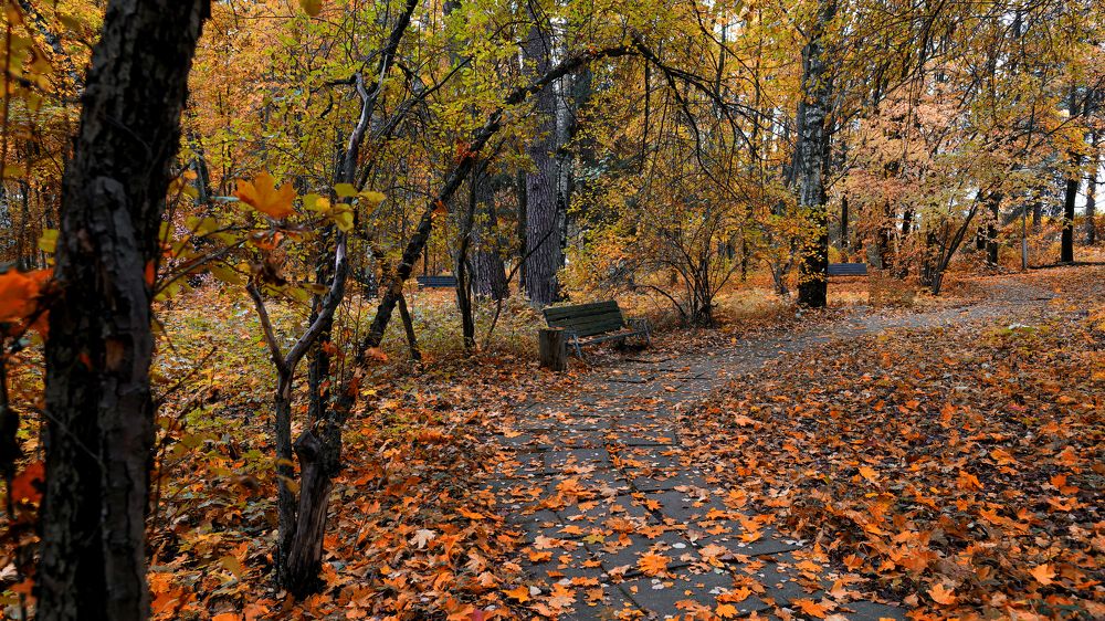 Старый парк