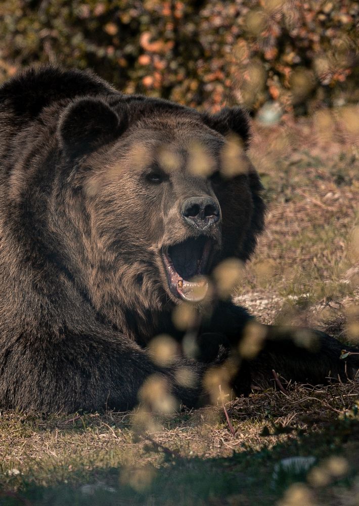 Photograph by Галина Кирикова