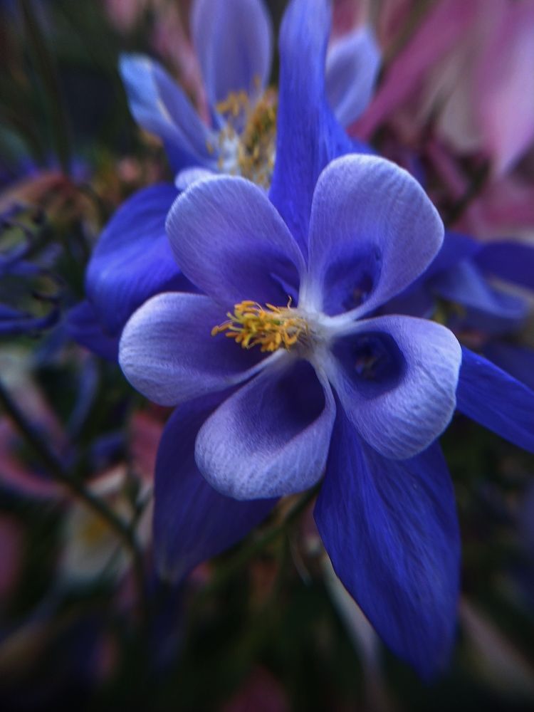 Photograph by Анастасия Кудина