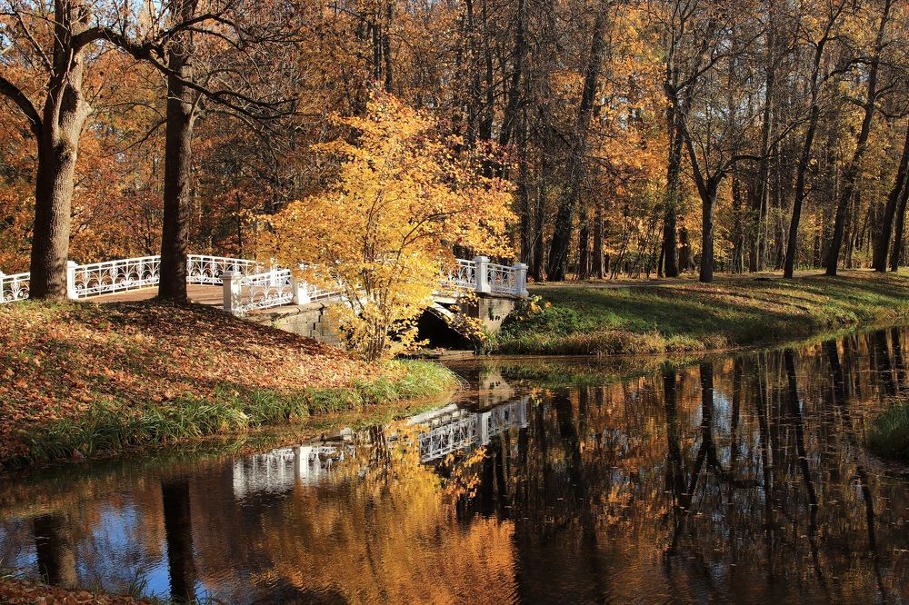 Краски осени