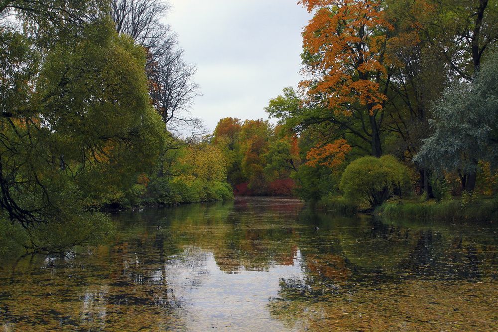Палитра осени