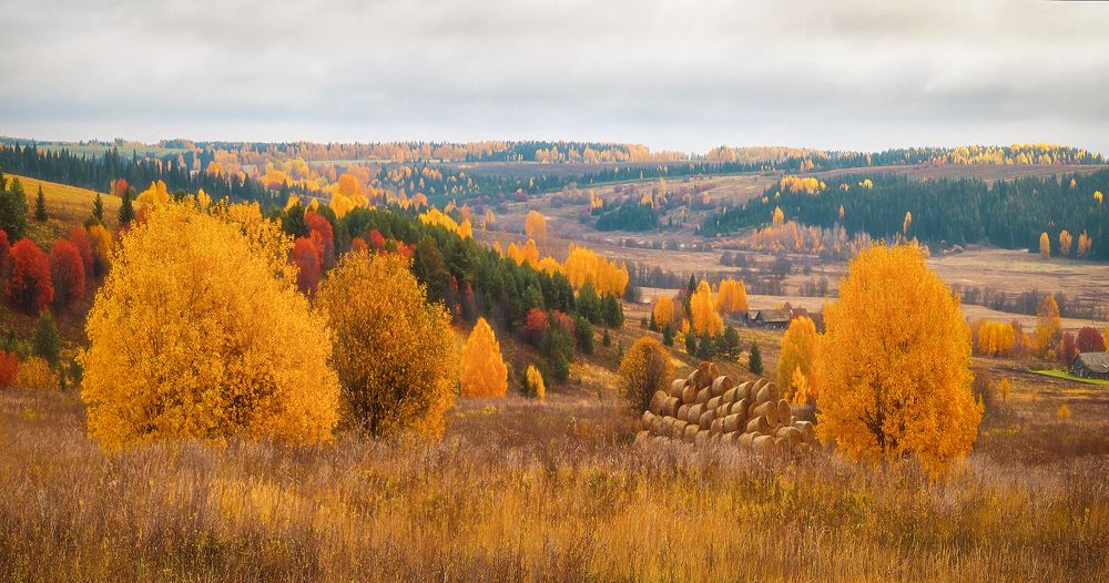 Photograph by Надежда Колеватова