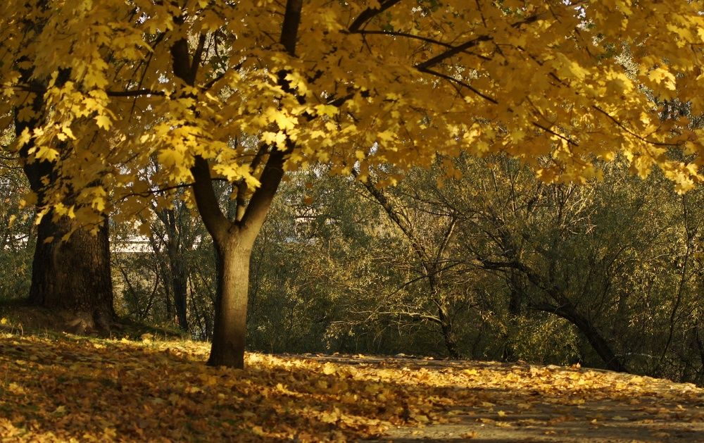 Photograph by Олег Кабанец