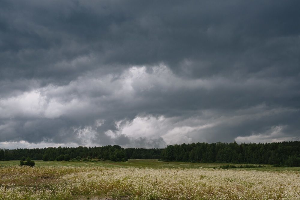 Photograph by Евгения Ерофеева