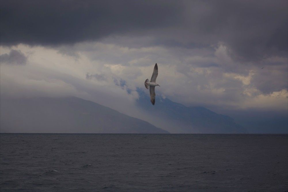 Photograph by Alexander Usenko