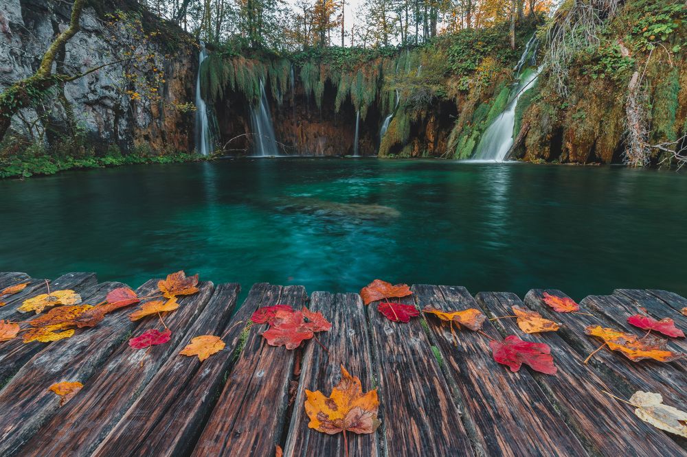 Photograph by Dinesh Umagiliya