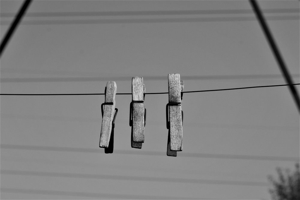 Photograph by Софья Белоногова