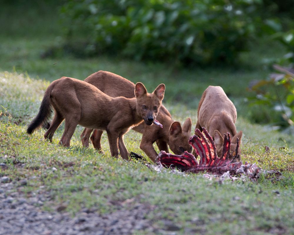 Enjoying the breakfast