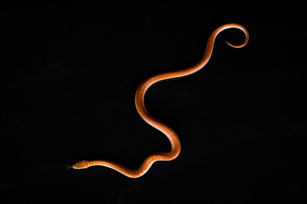 Photograph by Алена Райфутдинова