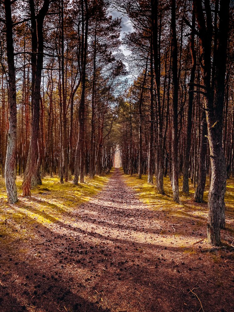 Photograph by Марат Болатханов