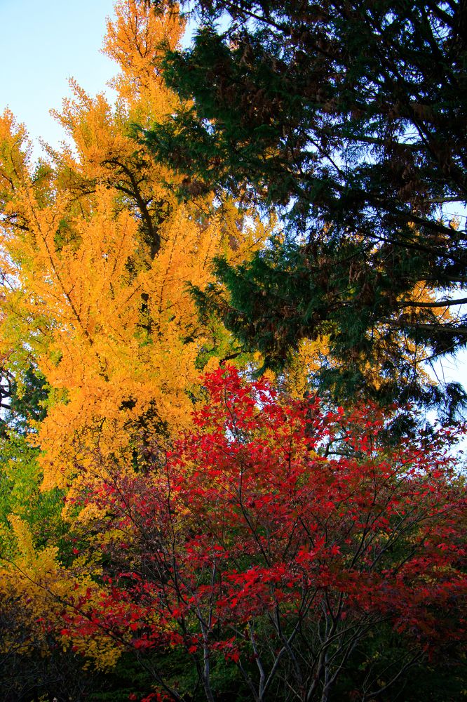 Photograph by Жорнова Светлана