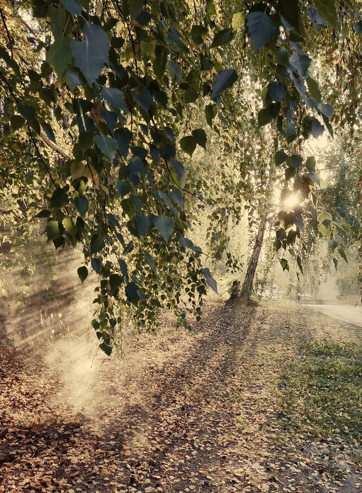 Photograph by Егор Соколков