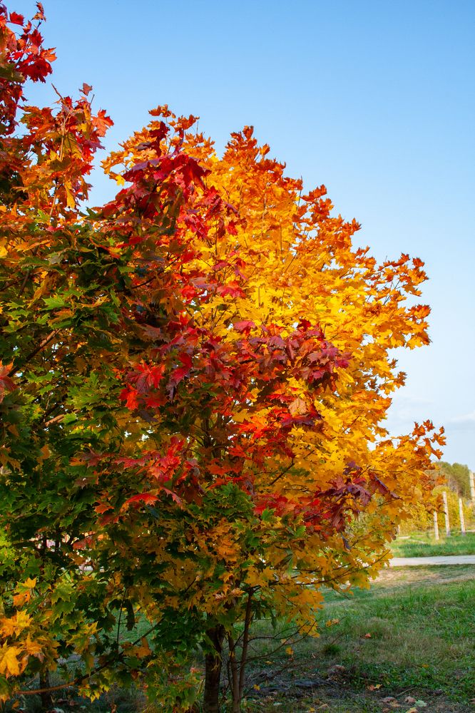 Photograph by Валерия Паули