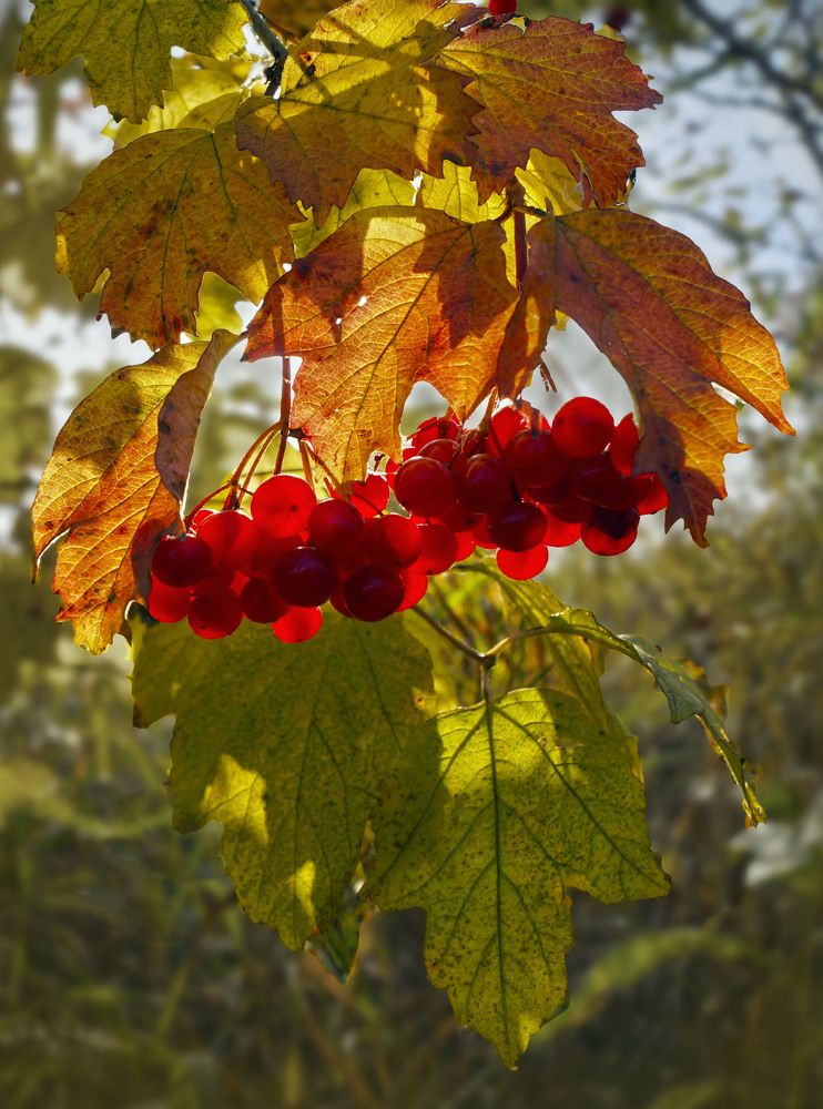 Photograph by Мишустина Татьяна