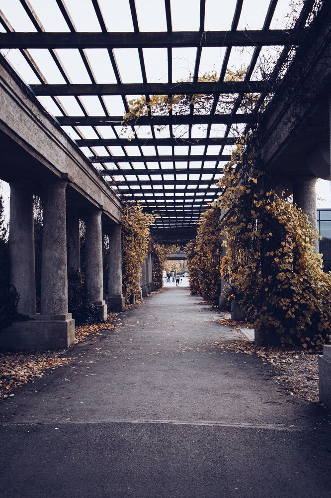 Photograph by Жорнова Светлана