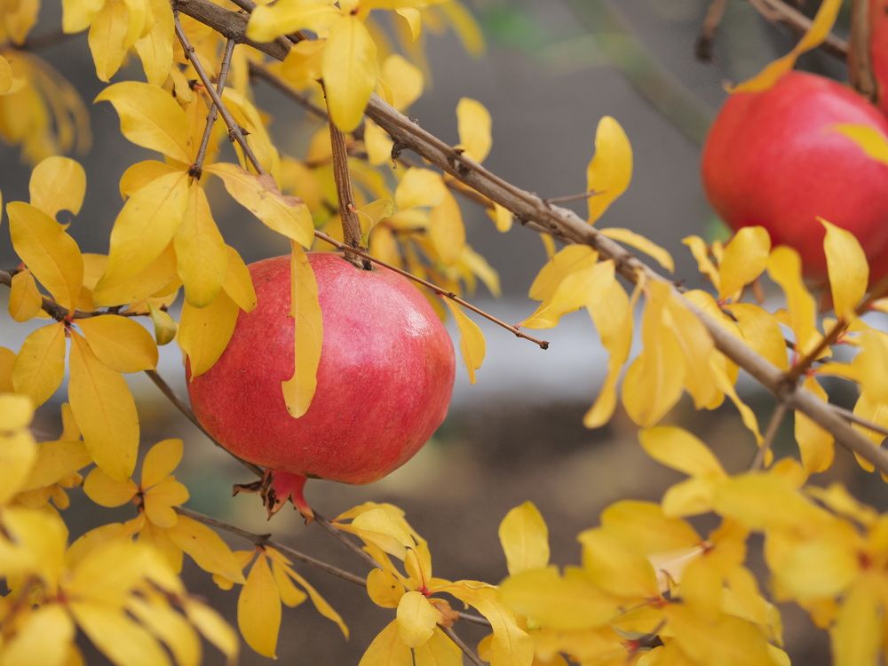 Photograph by Сергей Борисов