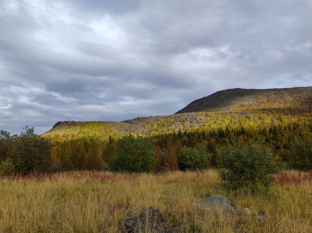 Photograph by Алексей Кириллов