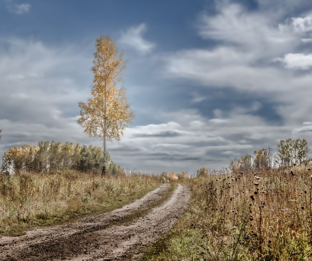 Photograph by Валерий Туманов