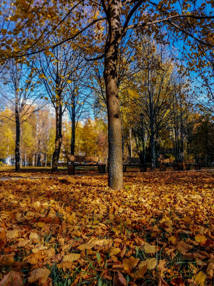 Photograph by Симикова Светлана