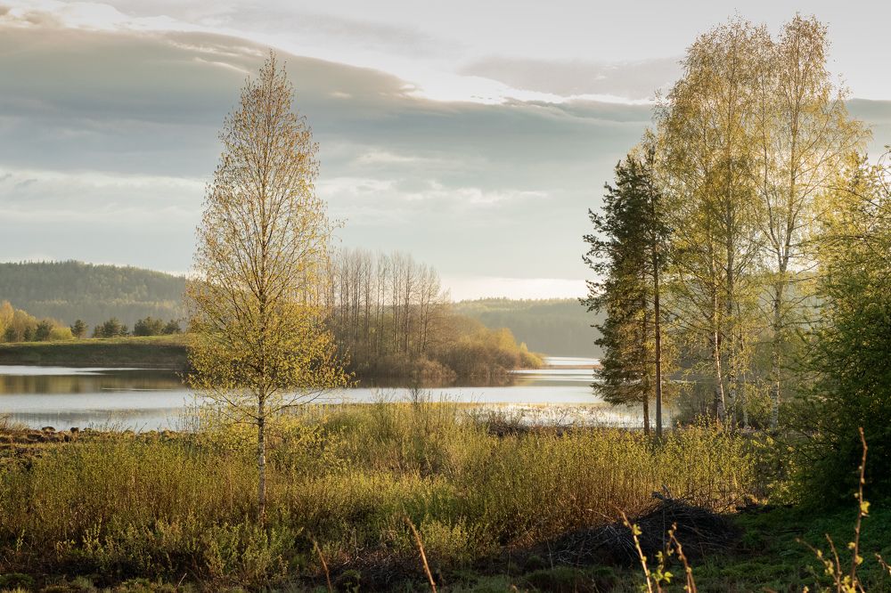 Photograph by Виктория Козинец