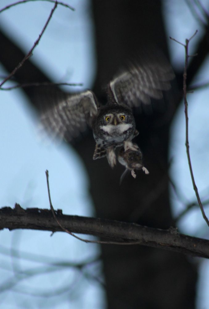 Photograph by Юрий Соколков
