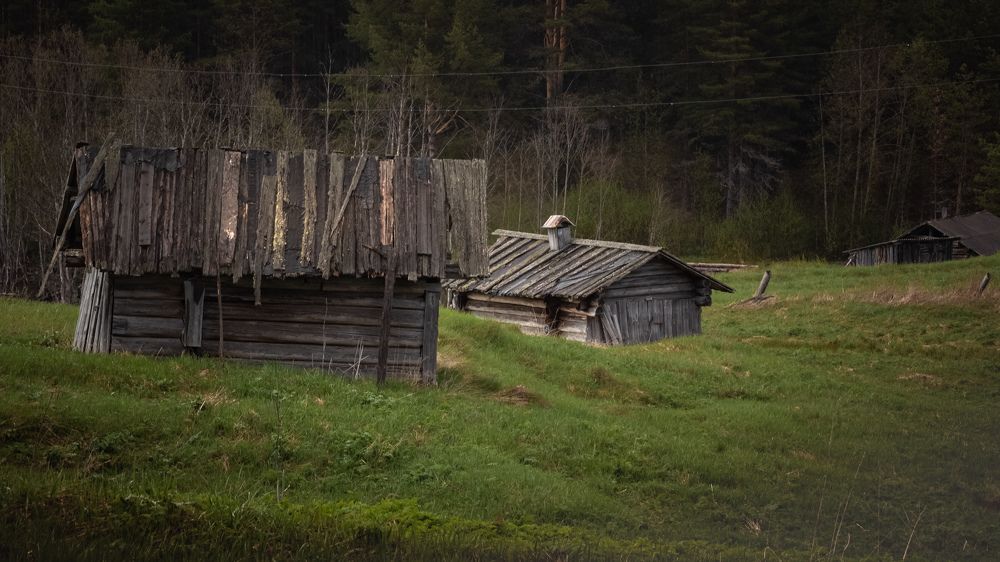 Photograph by Виктория Козинец