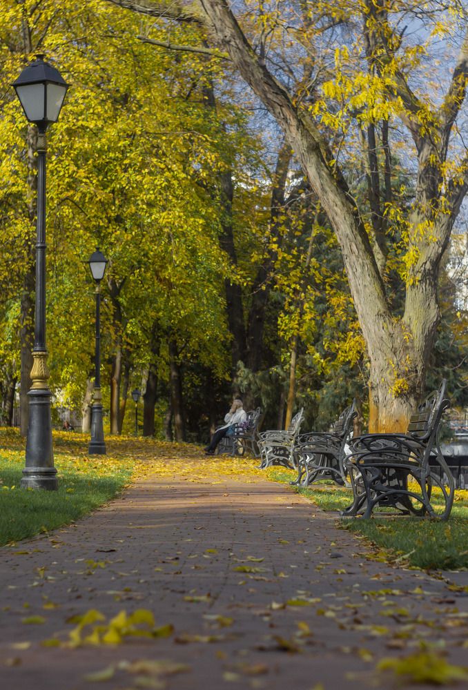 Photograph by Ilyin Evgeny