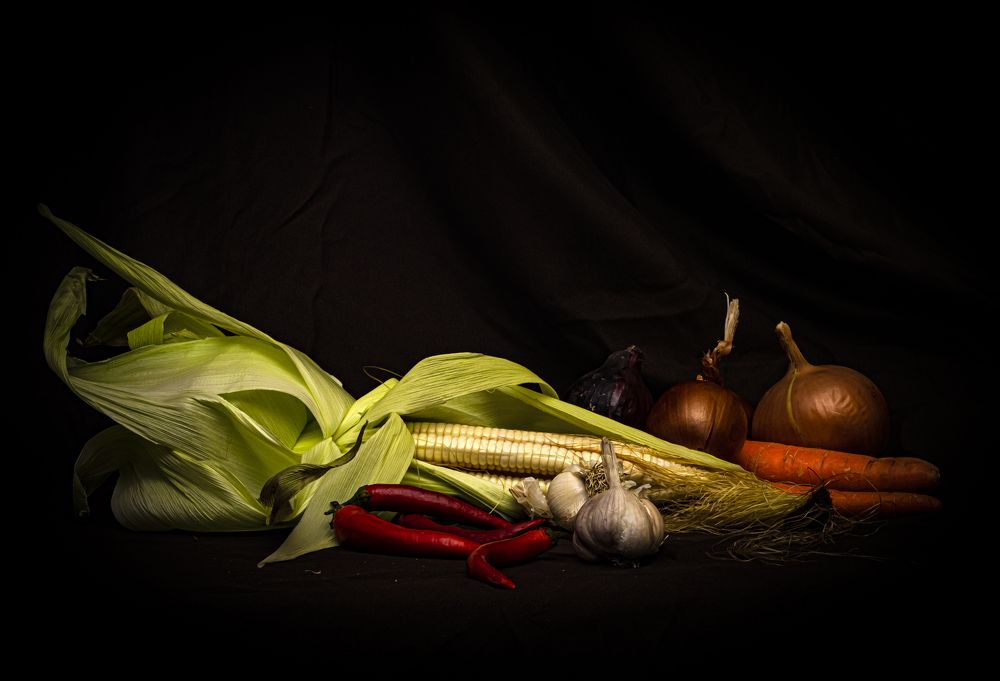 Photograph by Alex Kalpus