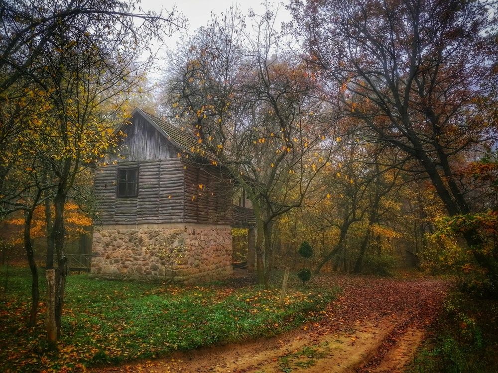 Photograph by Adrian Eperjessy