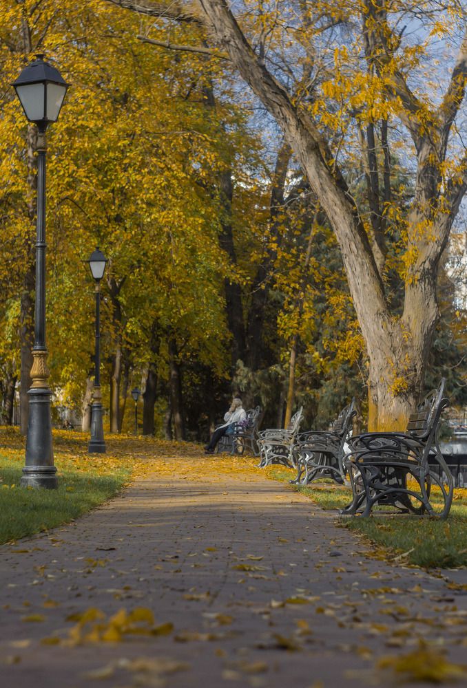 Photograph by Ilyin Evgeny