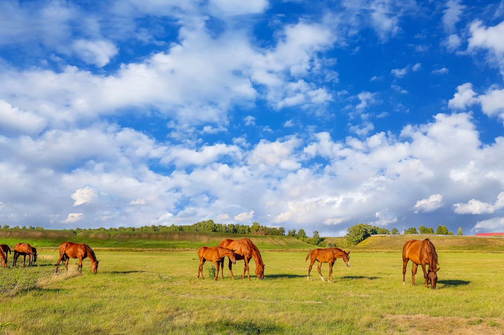 Photograph by Иван Логвинов