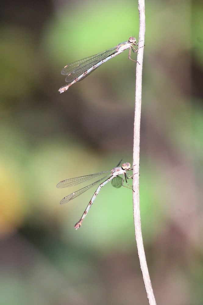 Photograph by Nadzeya